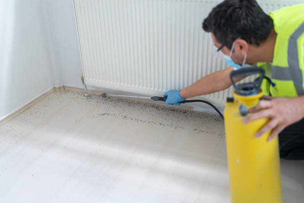 Best Mosquito Control Services  in Hoback, WY